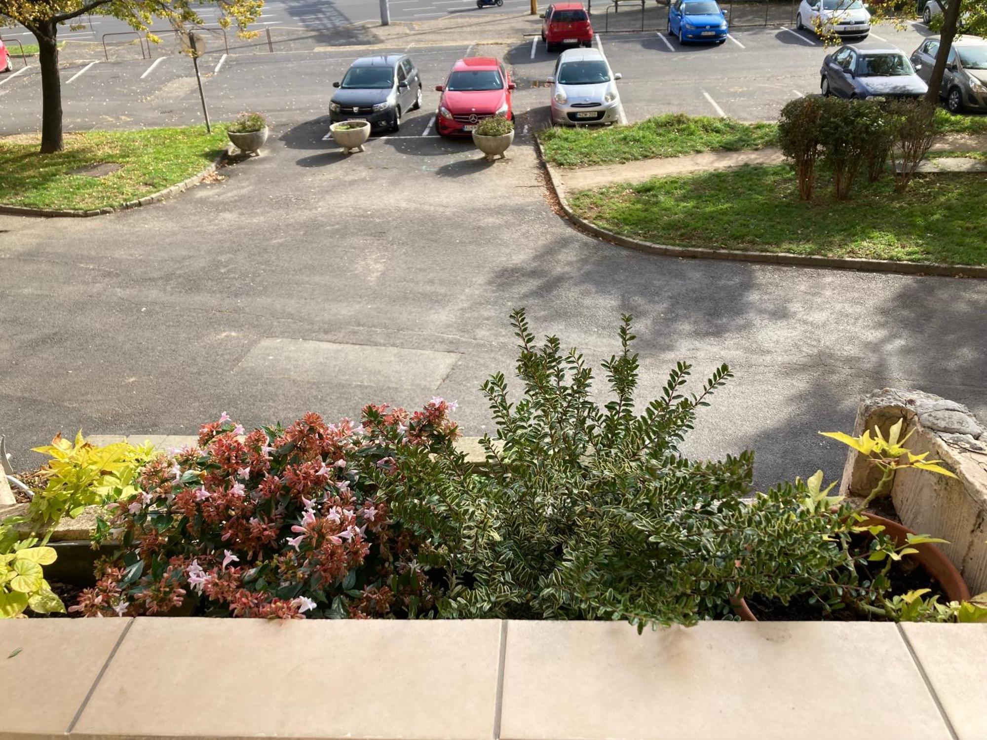 Belvarosi Classic Apartman 85 Square Meters Σζομπαθέλι Εξωτερικό φωτογραφία